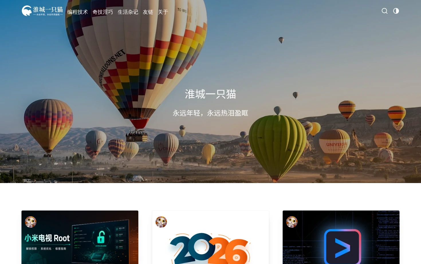 淮城一只猫 页面快照